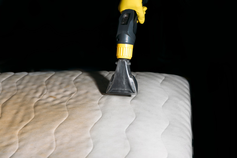 the girl cleans the mattress